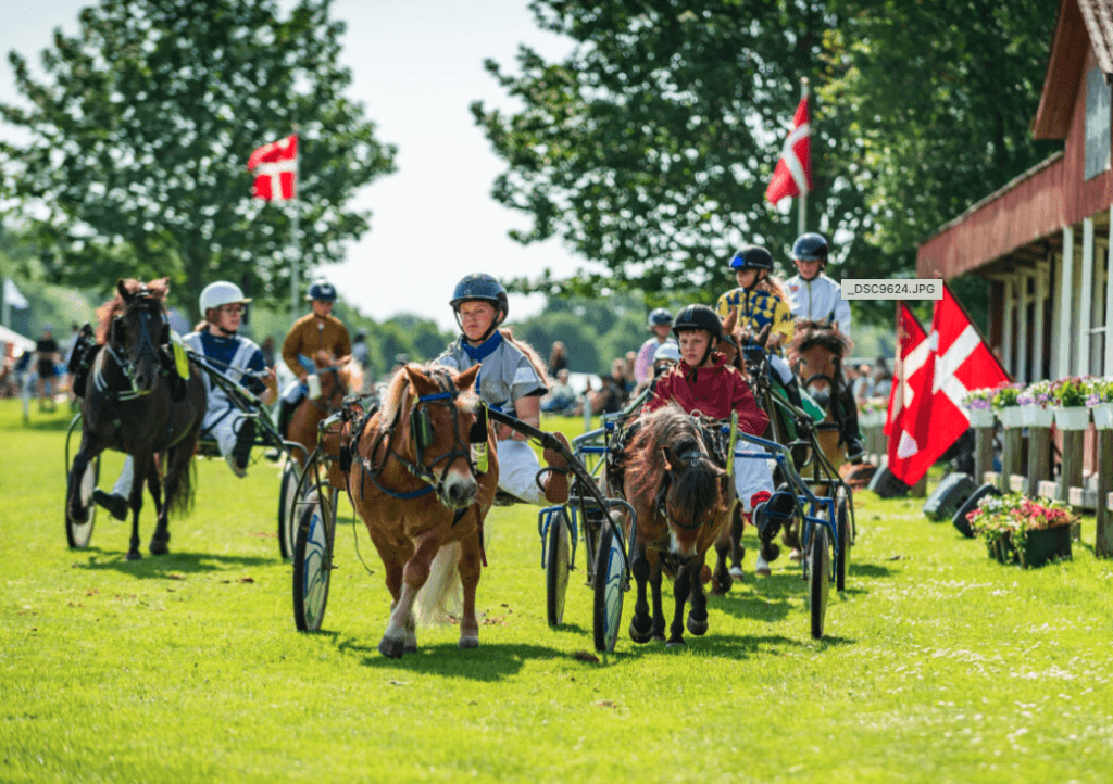 Det Fynske Dyrskue 2025.