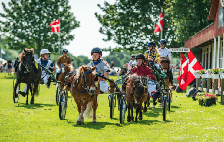 Det Fynske Dyrskue 2025.